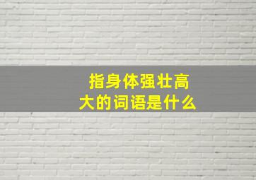 指身体强壮高大的词语是什么