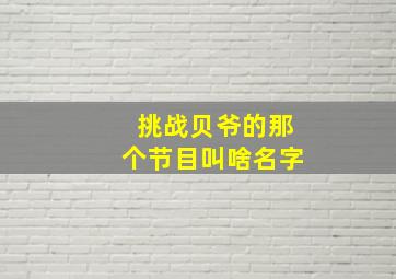 挑战贝爷的那个节目叫啥名字