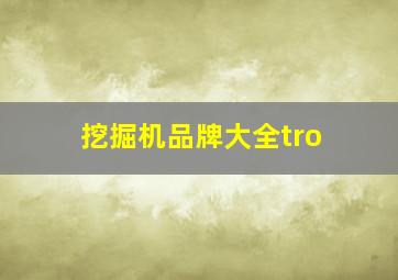 挖掘机品牌大全tro