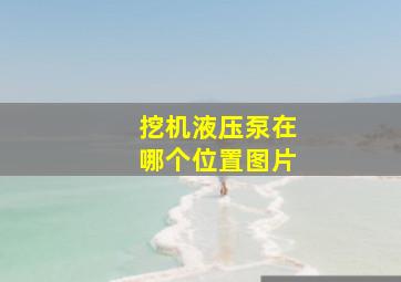 挖机液压泵在哪个位置图片