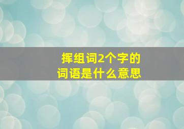 挥组词2个字的词语是什么意思