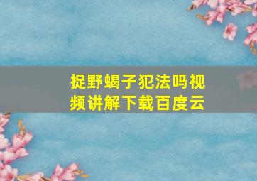 捉野蝎子犯法吗视频讲解下载百度云