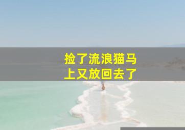 捡了流浪猫马上又放回去了