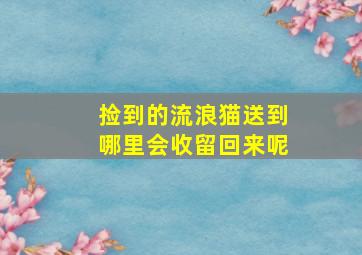 捡到的流浪猫送到哪里会收留回来呢