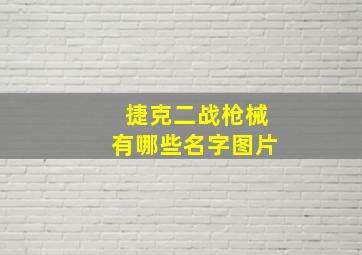 捷克二战枪械有哪些名字图片