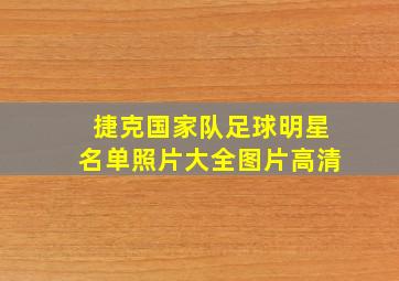 捷克国家队足球明星名单照片大全图片高清