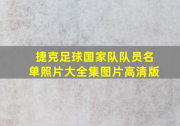 捷克足球国家队队员名单照片大全集图片高清版