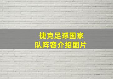 捷克足球国家队阵容介绍图片