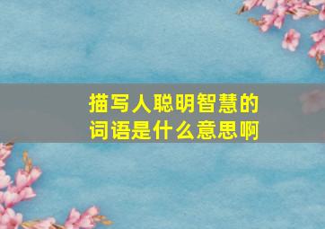 描写人聪明智慧的词语是什么意思啊