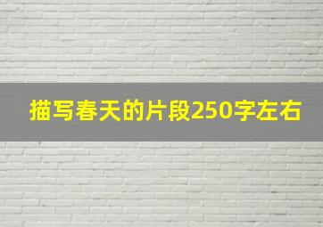 描写春天的片段250字左右