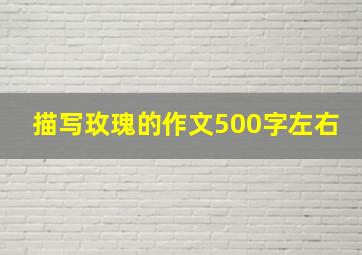 描写玫瑰的作文500字左右