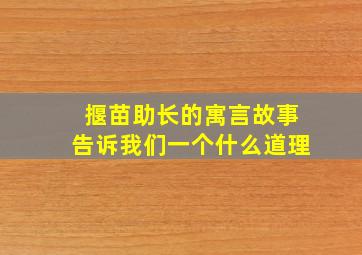 揠苗助长的寓言故事告诉我们一个什么道理