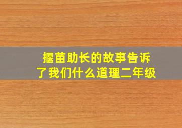 揠苗助长的故事告诉了我们什么道理二年级