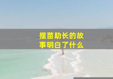 揠苗助长的故事明白了什么