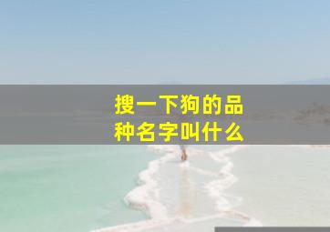 搜一下狗的品种名字叫什么