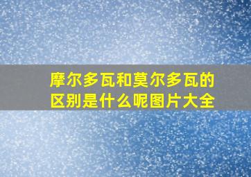 摩尔多瓦和莫尔多瓦的区别是什么呢图片大全