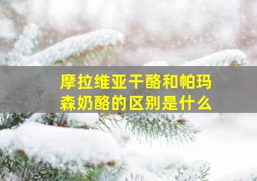 摩拉维亚干酪和帕玛森奶酪的区别是什么