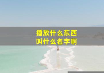 播放什么东西叫什么名字啊