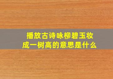 播放古诗咏柳碧玉妆成一树高的意思是什么