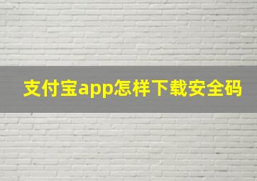 支付宝app怎样下载安全码