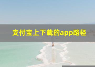 支付宝上下载的app路径