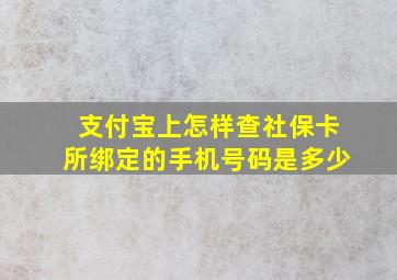 支付宝上怎样查社保卡所绑定的手机号码是多少