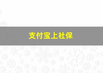 支付宝上社保