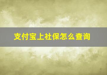 支付宝上社保怎么查询