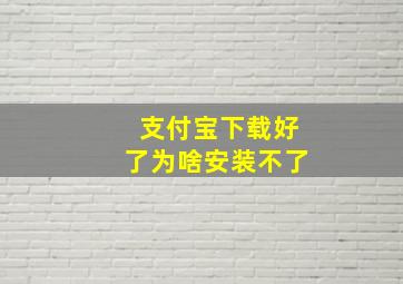 支付宝下载好了为啥安装不了