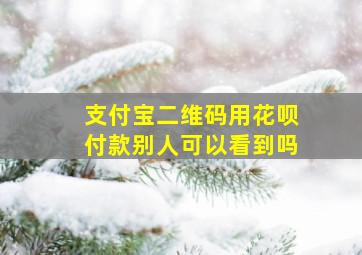 支付宝二维码用花呗付款别人可以看到吗