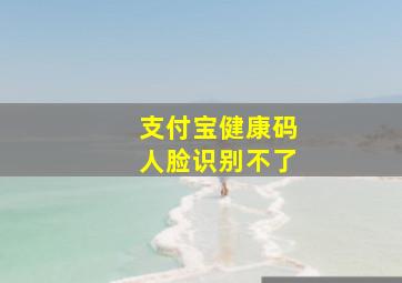 支付宝健康码人脸识别不了