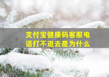 支付宝健康码客服电话打不进去是为什么