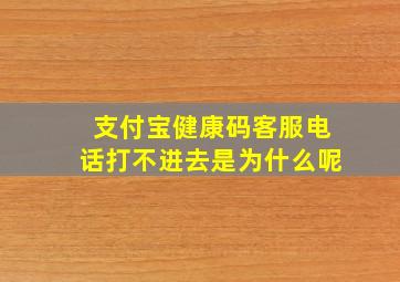 支付宝健康码客服电话打不进去是为什么呢