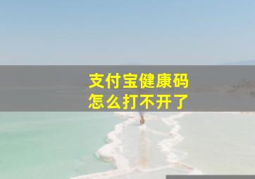 支付宝健康码怎么打不开了