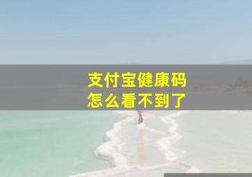 支付宝健康码怎么看不到了