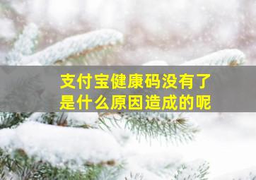 支付宝健康码没有了是什么原因造成的呢