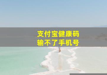 支付宝健康码输不了手机号