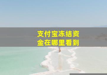 支付宝冻结资金在哪里看到