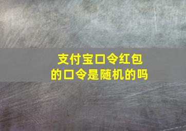 支付宝口令红包的口令是随机的吗