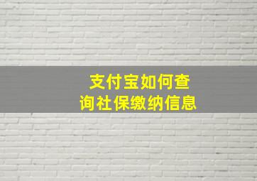 支付宝如何查询社保缴纳信息