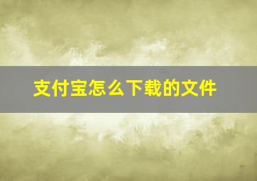 支付宝怎么下载的文件