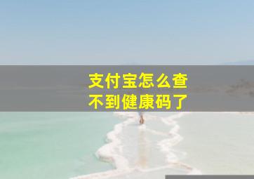 支付宝怎么查不到健康码了