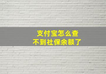 支付宝怎么查不到社保余额了