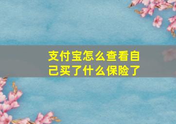 支付宝怎么查看自己买了什么保险了