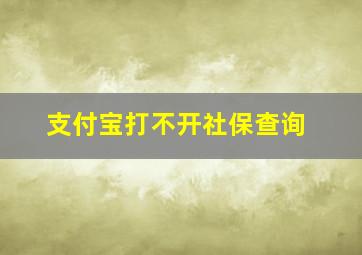 支付宝打不开社保查询