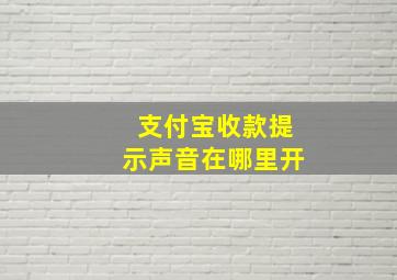 支付宝收款提示声音在哪里开