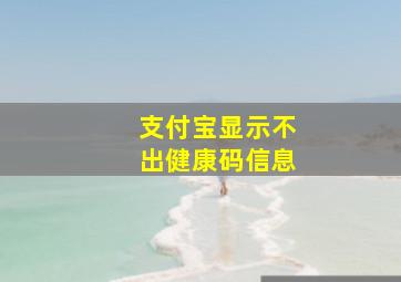 支付宝显示不出健康码信息