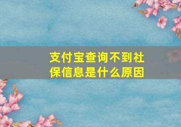 支付宝查询不到社保信息是什么原因