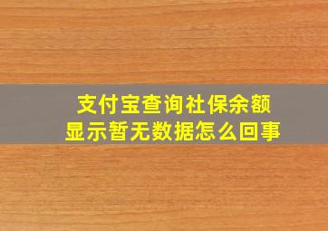 支付宝查询社保余额显示暂无数据怎么回事