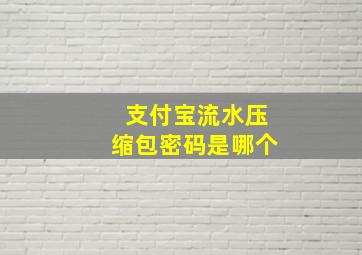 支付宝流水压缩包密码是哪个